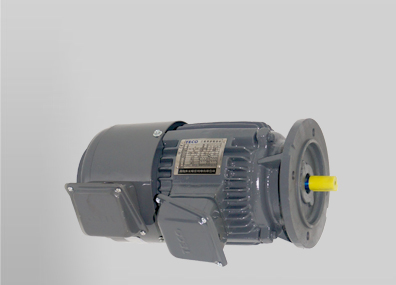 EVVF立式東元變頻電機