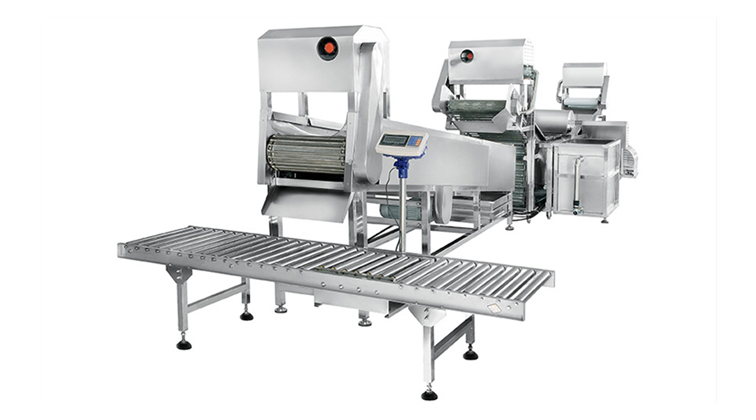 青島東元鑄鐵變頻馬達TEV2-4kW-8P涉足天長分裝機行業的運用